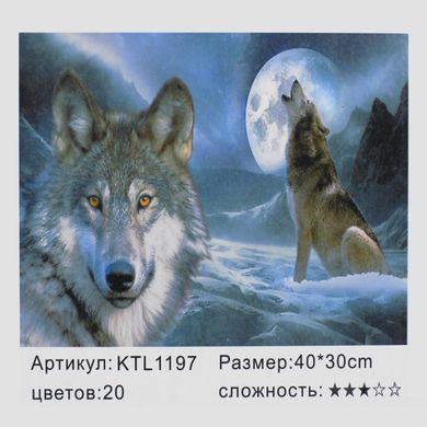 арт. KTL 1197 Картина по номерам / рисование по номерам