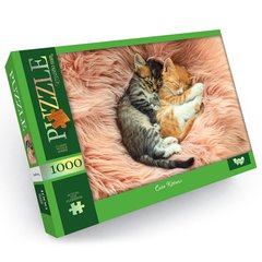 Пазлы Котята 1000 эл (Dankotoys) 1000-11-09